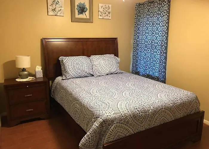 Cozy Pet-Friendly Home- Huge Spring Discounts