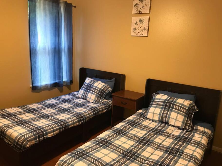 Cozy Pet-friendly Home- Huge Discounts *
